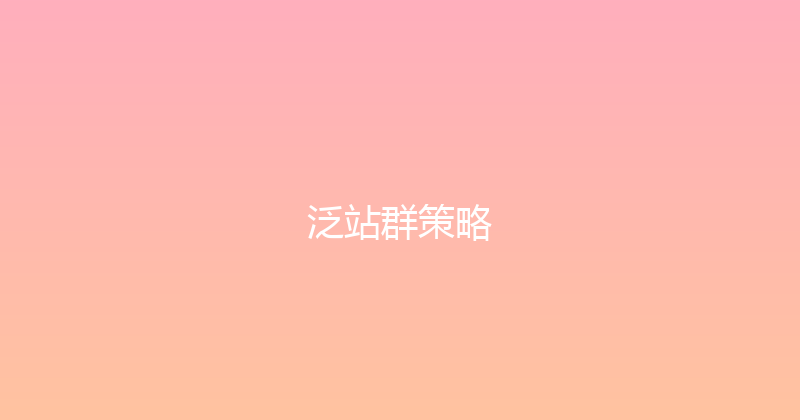 泛站群策略 封面图