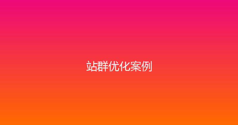 站群优化案例 封面图