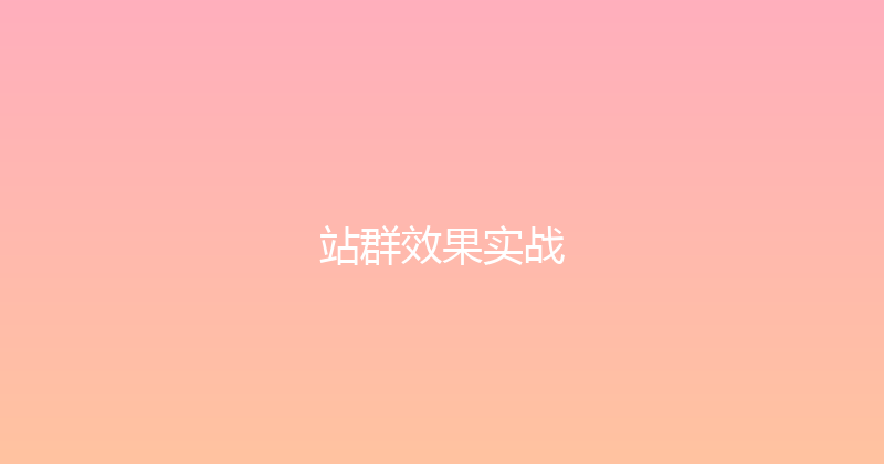 站群效果实战 封面图