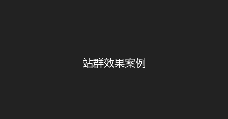 站群效果案例 封面图