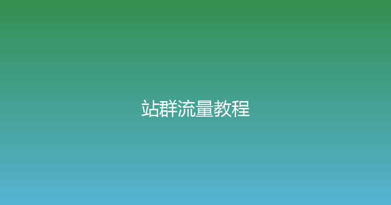 站群流量教程 封面图