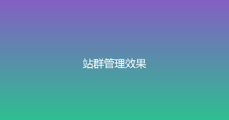 站群管理效果 封面图
