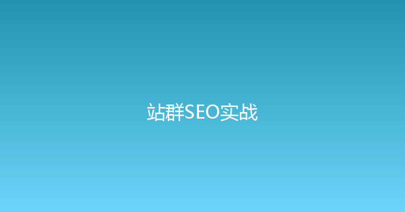 站群SEO实战 封面图