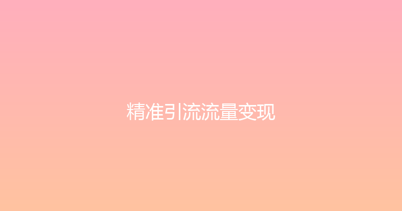 精准引流流量变现 封面图